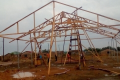 structure taking shape 2 (Medium)