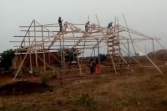 structure taking shape 3 (Medium)