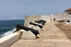 cannons2