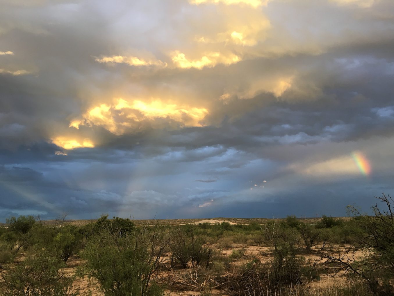 Grace Ranch Campground Project