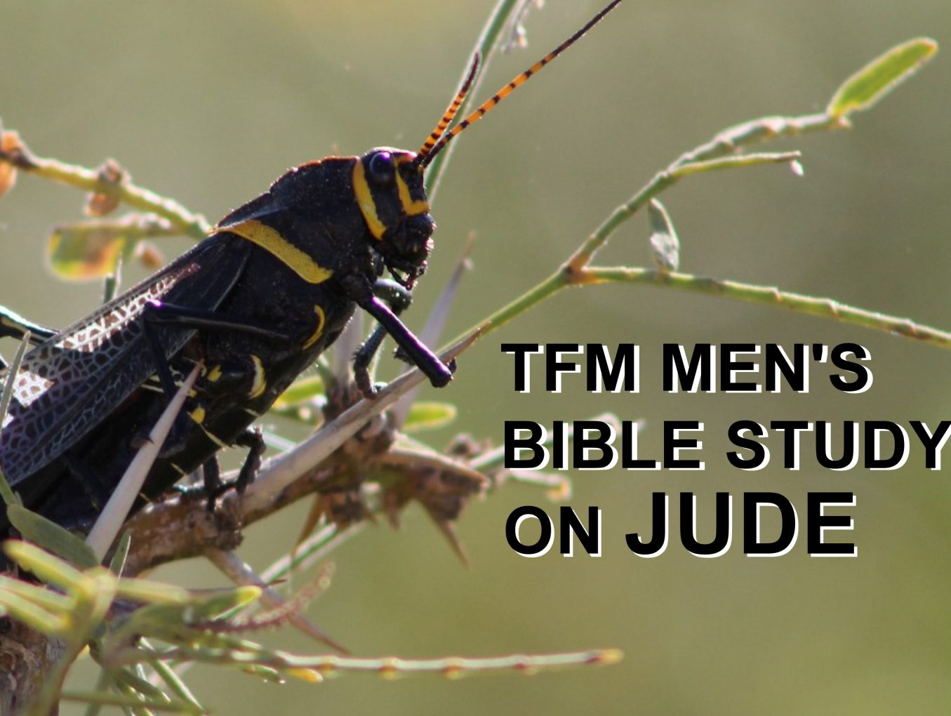 Men's Bible Study on JUDE (2014-04-08 to 2014-04-15)