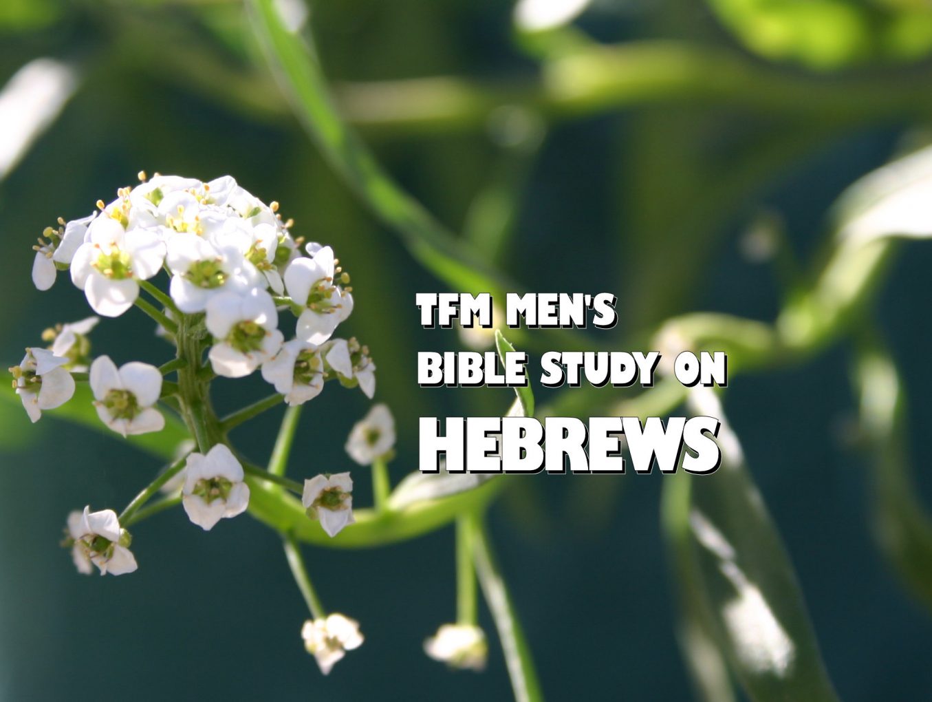 Men's Bible Study on HEBREWS (2014-10-28 to 2015-02-03)