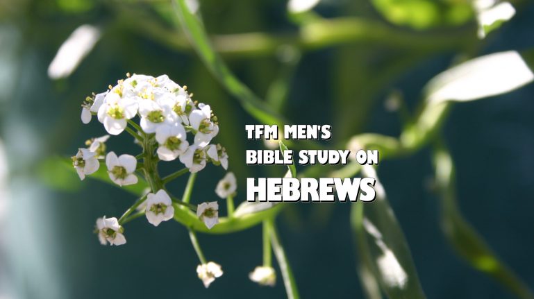 Men's Bible Study on HEBREWS (2014-10-28 to 2015-02-03)