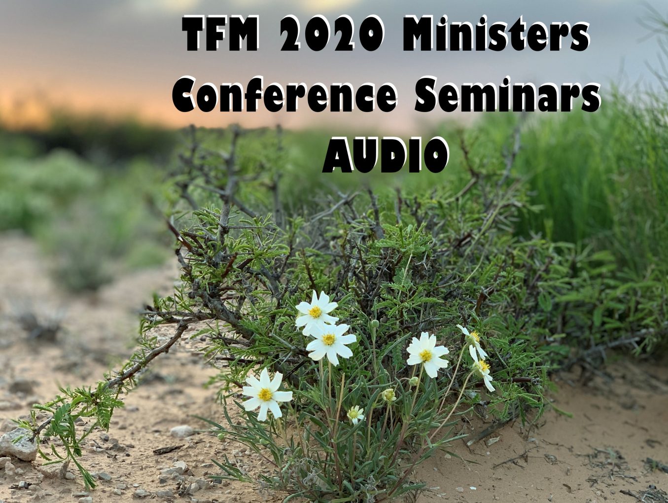 2020 Ministers Conference Seminars - AUDIO