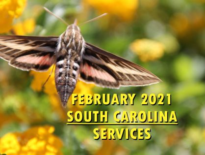 February 2021 South Carolina Sunday Services
