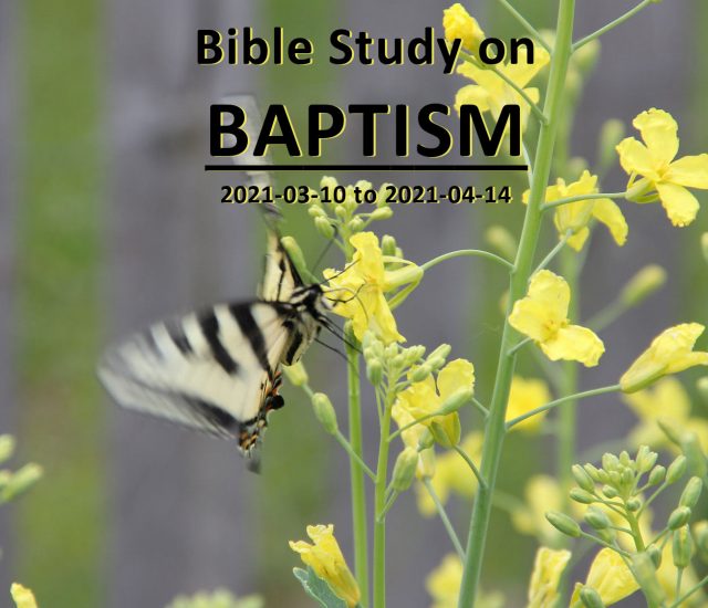 Bible Study on Baptism