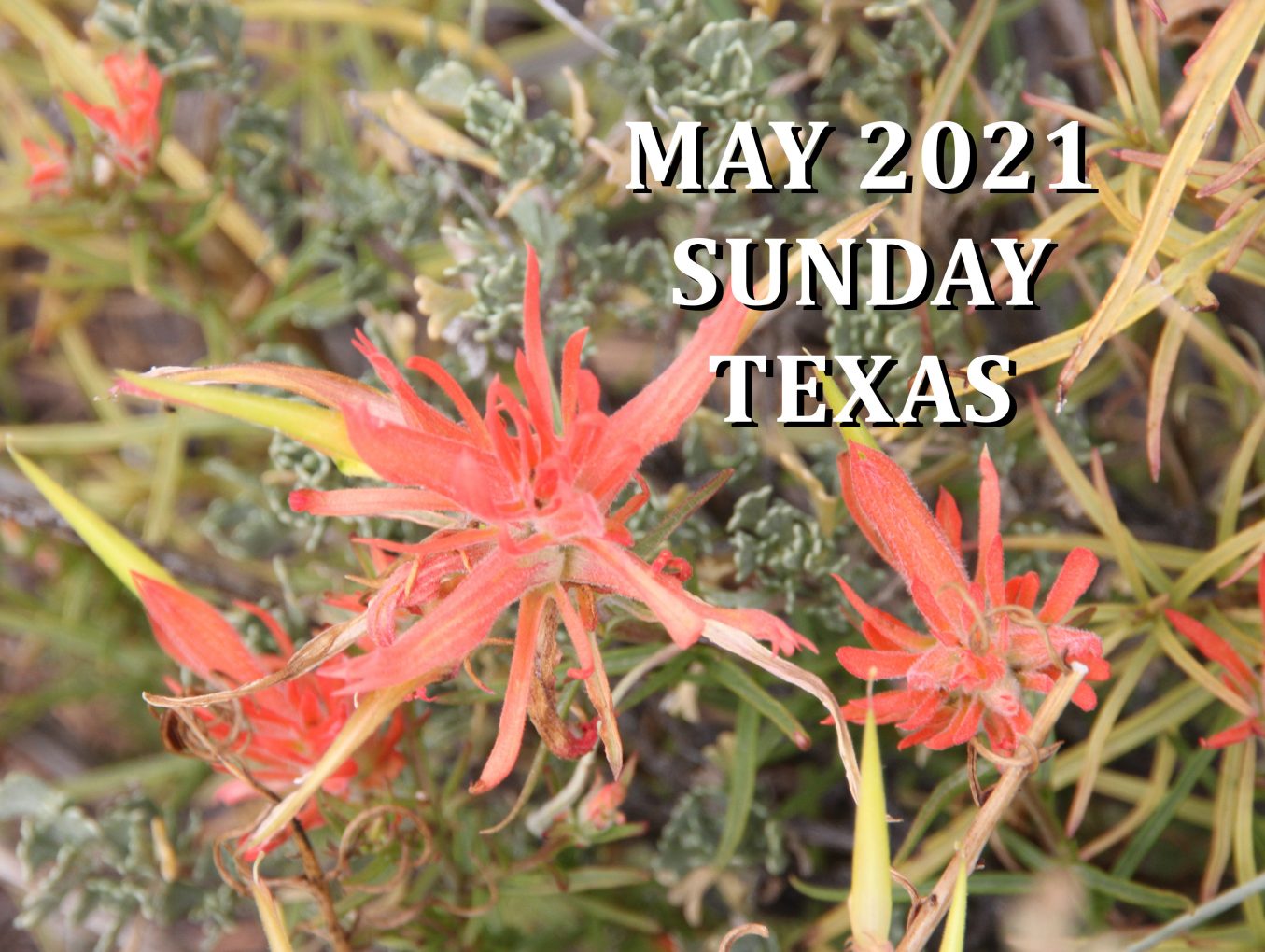 May 2021 Texas Sunday Services