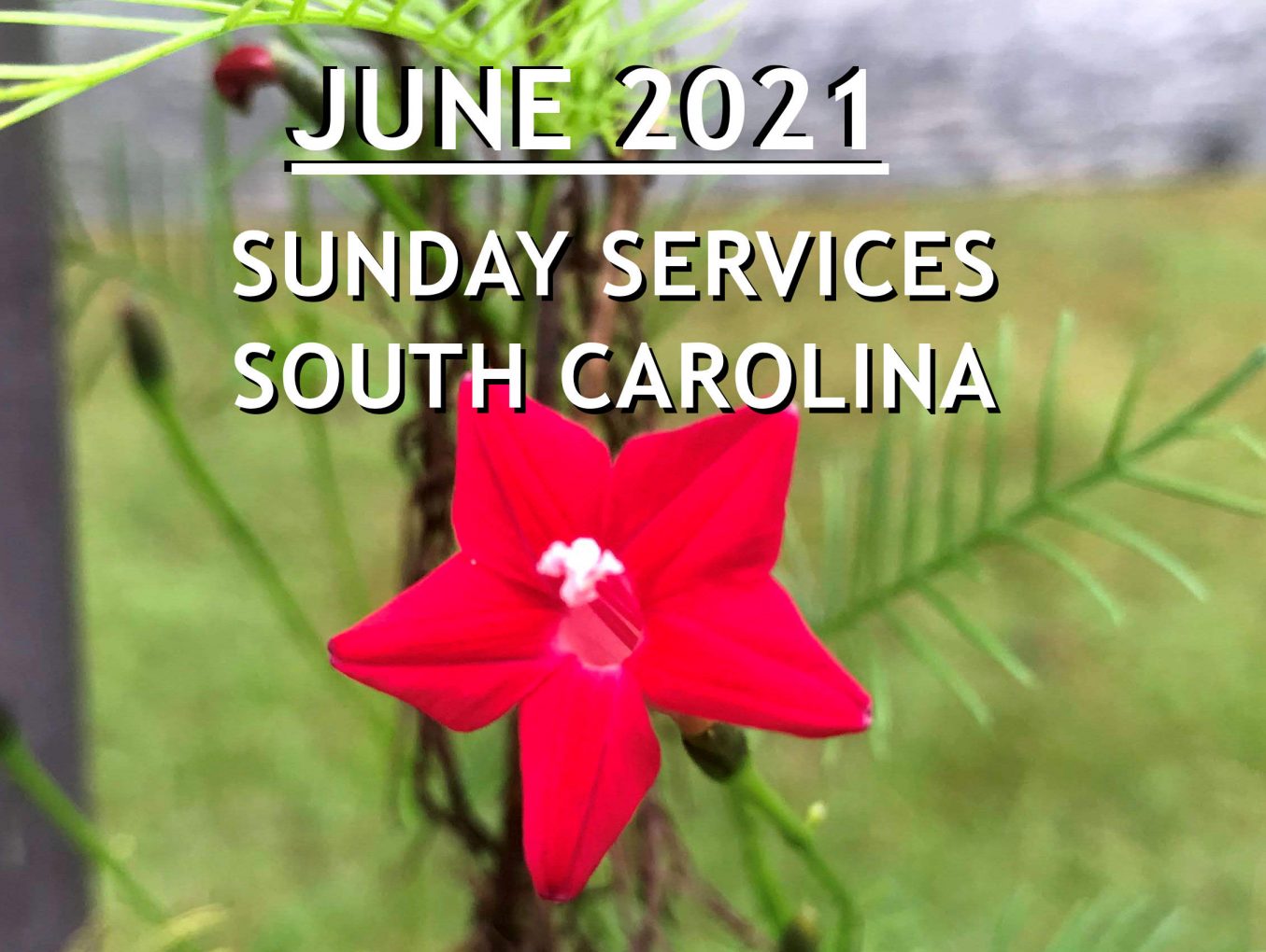 June 2021 South Carolina Sunday Services