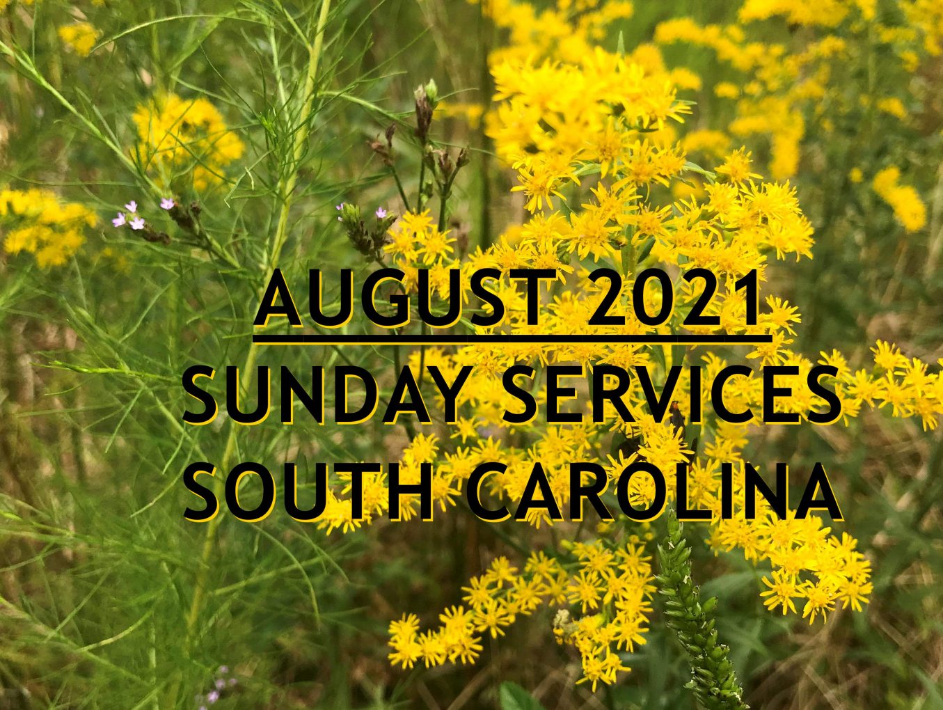 August 2021 South Carolina Sunday Services