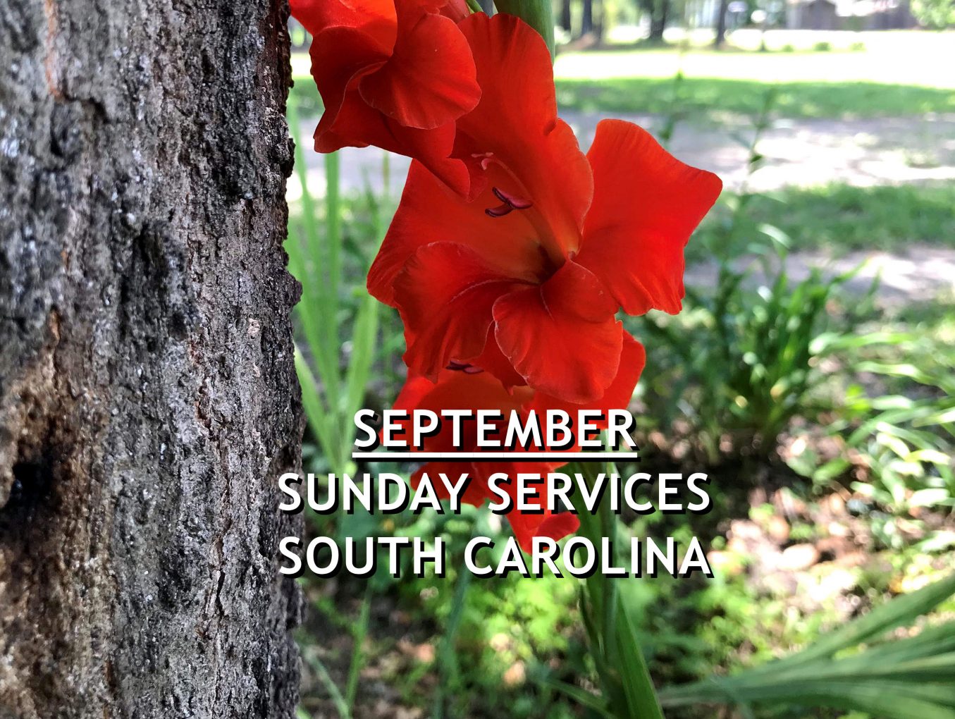 September 2021 South Carolina Sunday Services