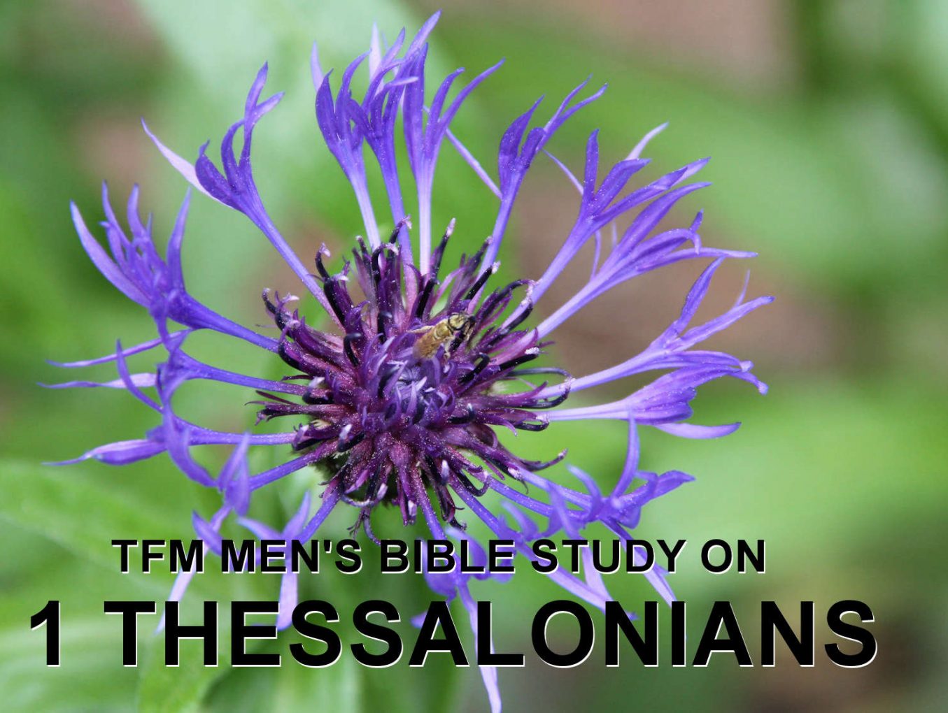 Men's Bible Study on 1 THESSALONIANS (2014-06-03 to 2014-07-01)