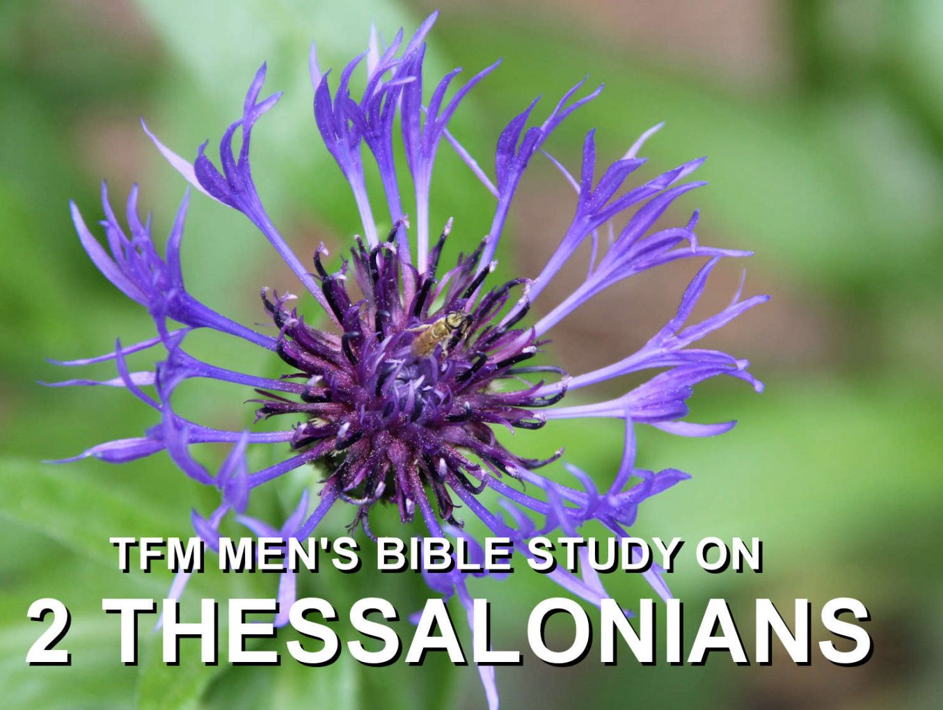 Men's Bible Study on 2 THESSALONIANS (2014-07-08 to 2014-07-15)